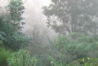 Penonglandscaping-irrigation-4.jpg; ?>