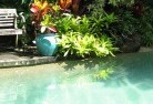 Penongswimming-pool-landscaping-3.jpg; ?>